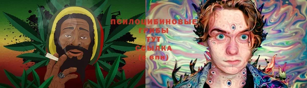 ГАЛЛЮЦИНОГЕННЫЕ ГРИБЫ Абдулино