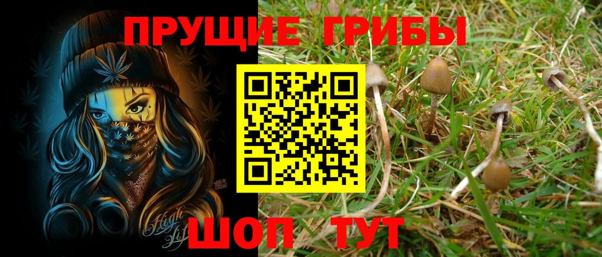 Боровичи  Галлюциногенные грибы мицелий  Вход с VPN 