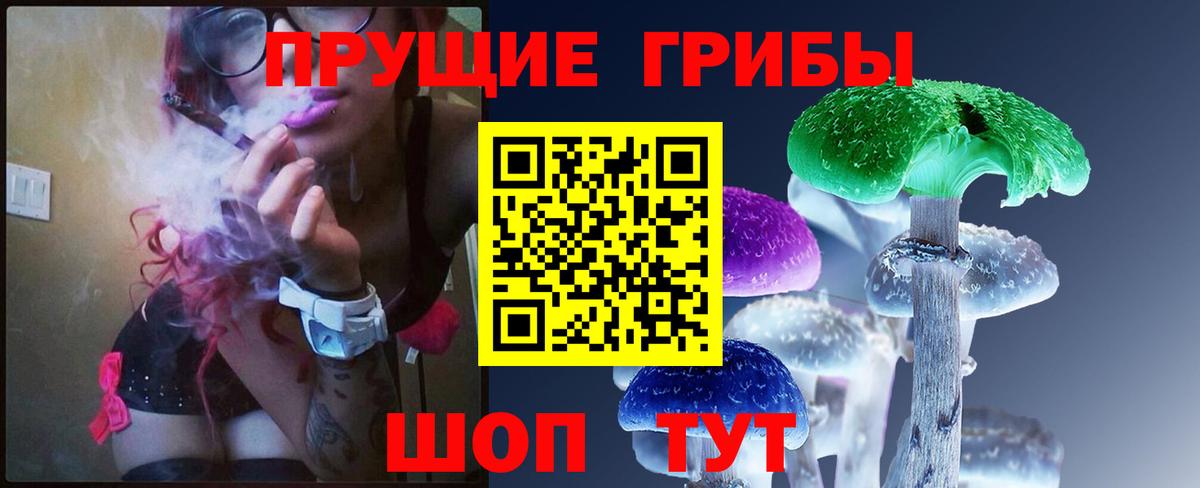 Псилоцибиновые грибы Psilocybe Боровичи